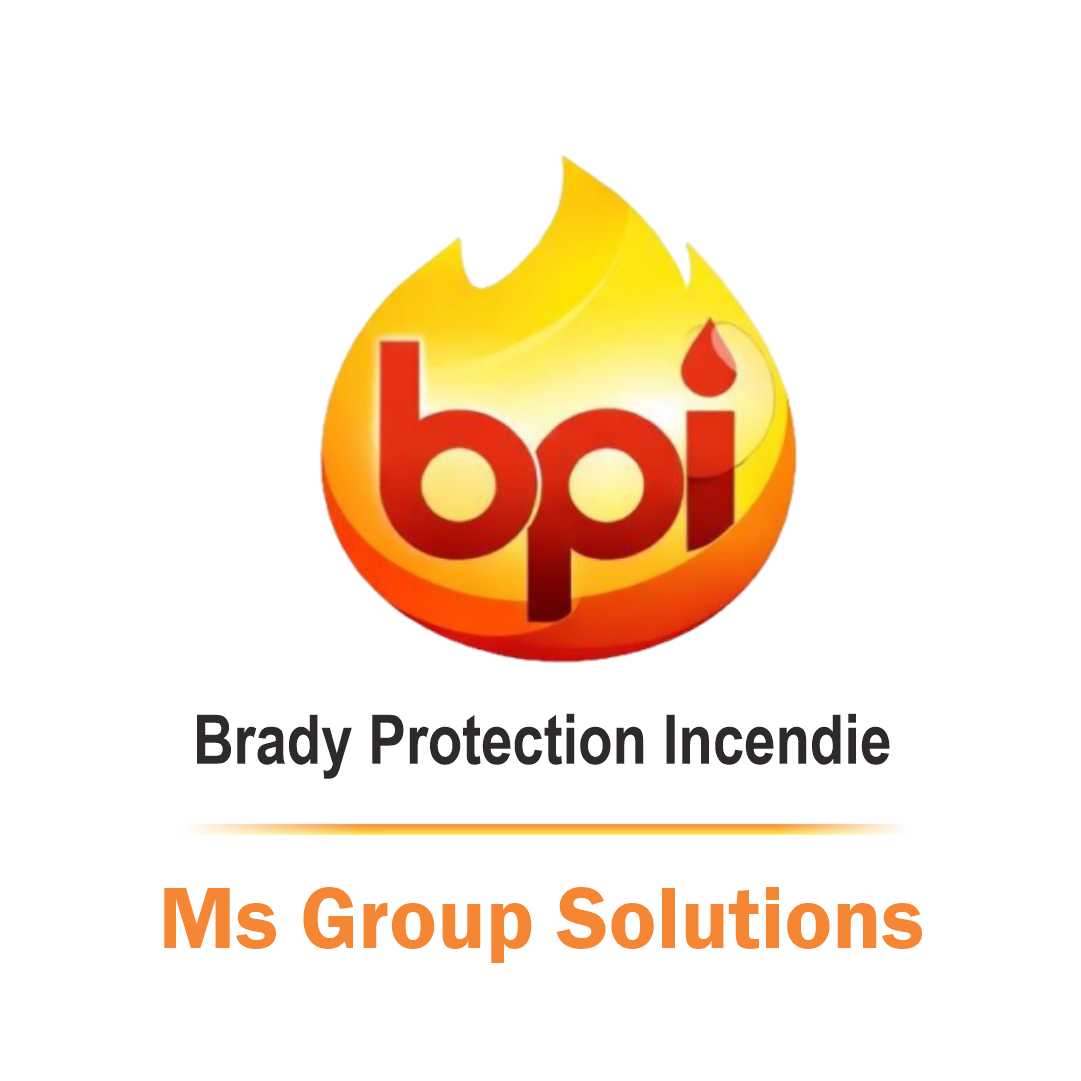BPI MS GROUP SOLUTIONS